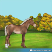 Horse Color:Gray Liver Chestnut Pearl Mushroom