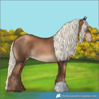 Horse Color:Gray Liver Chestnut Pearl Mushroom