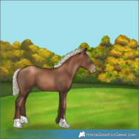 Horse Color:Gray Liver Chestnut Pearl Mushroom 