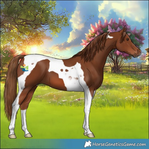Horse Color:Chestnut Tobiano 