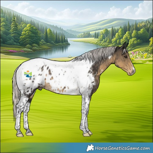 Horse Color:Silver Smoky Black Tobiano Appaloosa 