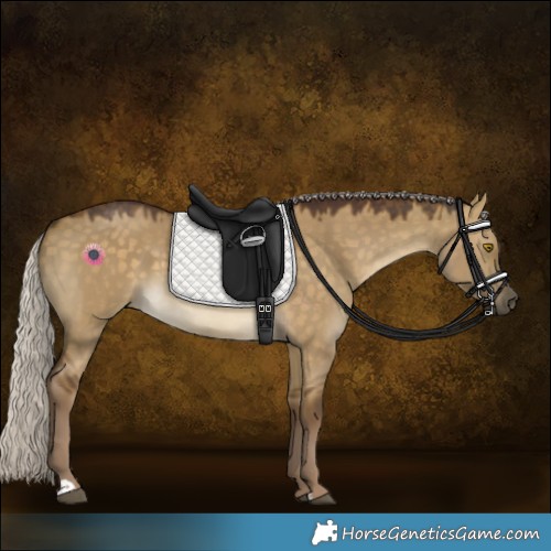 Horse Color:Chocolate Silver Buckskin Dun