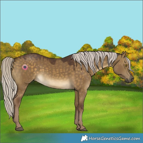 Horse Color:Chocolate Silver Buckskin Dun 