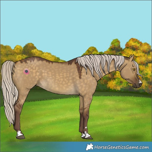 Horse Color:Chocolate Silver Buckskin Dun