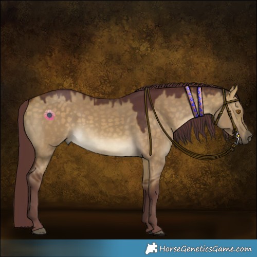 Horse Color:Chocolate Buckskin Dun