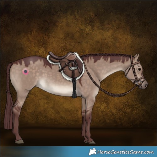 Horse Color:Chocolate Brown Dun 