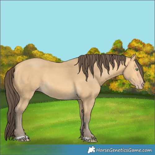 Horse Color:Amber Cream Champagne 