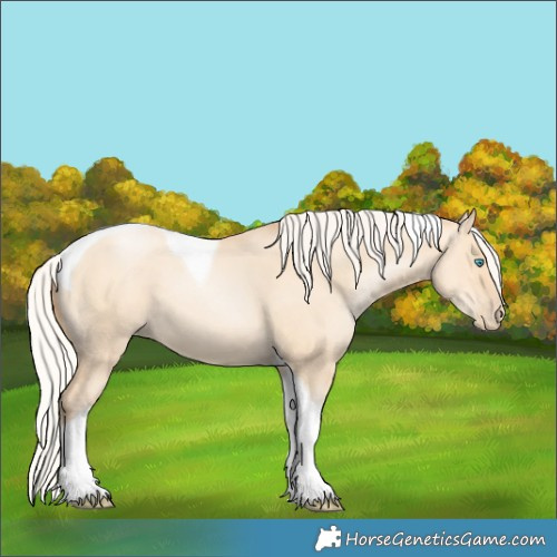 Horse Color:Silver Amber Champagne Pearl Dun Tobiano 