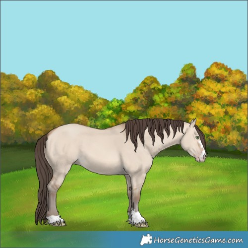 Horse Color:Amber Champagne Dun 