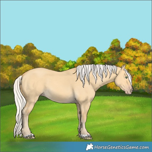 Horse Color:Silver Amber Cream Champagne Dun 