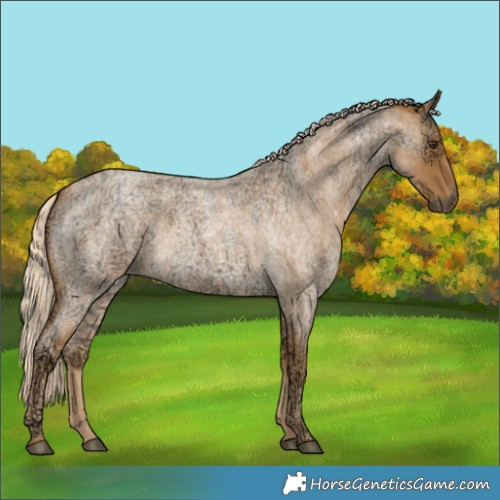 Horse Color:Palomino Ice Roan Rabicano