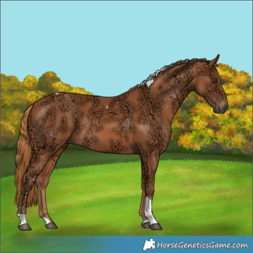 Horse Color:Chestnut Ice Tobiano Rabicano 