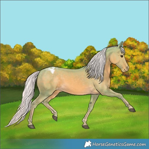 Horse Color:Watercolor Palomino Varnish 
