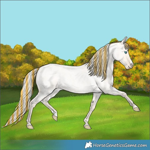 Horse Color:Painted Cremello Roan Dun Splash 