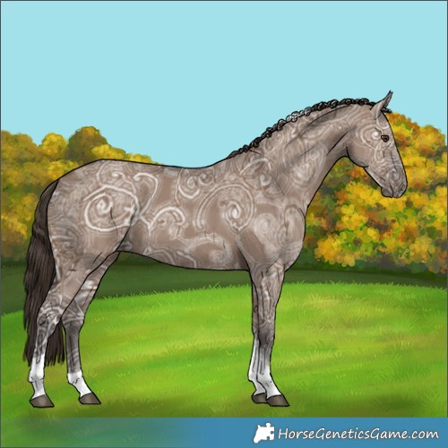Horse Color:Liver Red Dun Ice Tobiano 