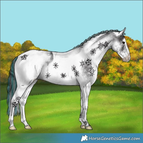 Horse Color:Painted White Spotted Smoky Black Tobiano 