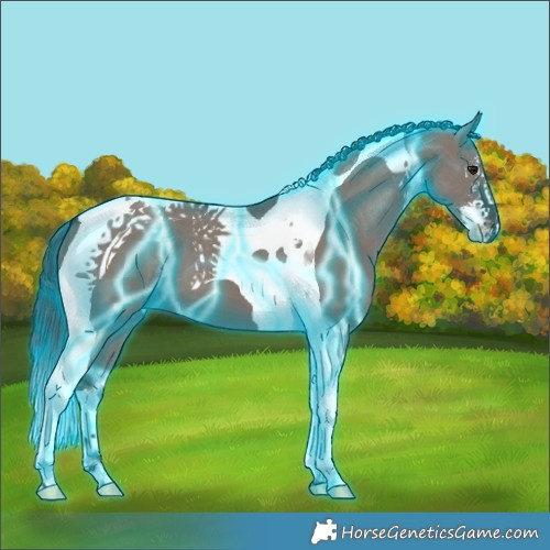 Horse Color:Thunderstruck White Spotted Smoky Grullo Tobiano