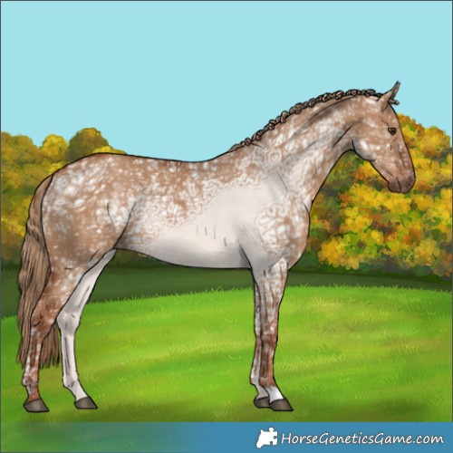 Horse Color:Red Dun Ice