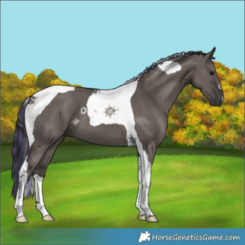 Horse Color:Painted Smoky Grullo Tobiano 