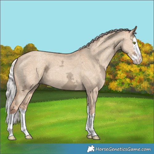 Horse Color:Silver Classic Champagne Ice Dun Splash 