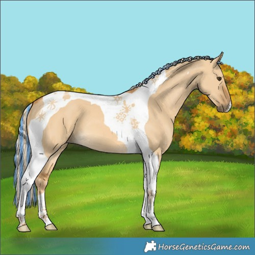 Horse Color:Painted Palomino Dun Tobiano 