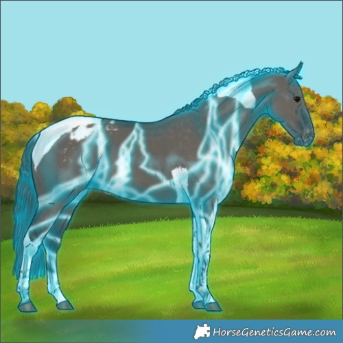 Horse Color:Thunderstruck Grullo Tobiano Varnish 
