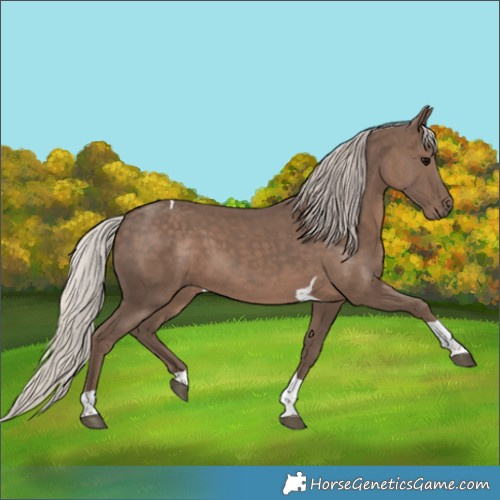 Horse Color:Silver Black Tobiano 