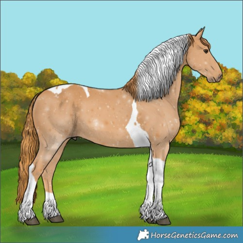 Horse Color:Chestnut Tobiano 