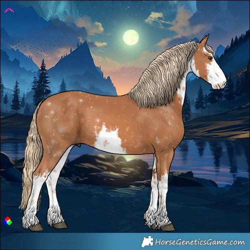 Horse Color:White Spotted Chestnut