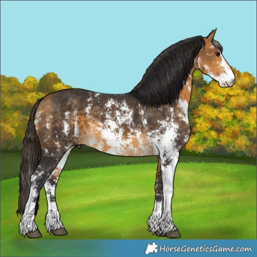 Horse Color:Buckskin Sabino