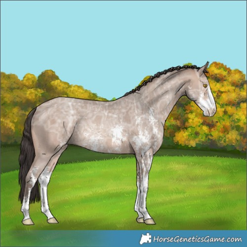 Horse Color:Sable Champagne Ice Sabino Rabicano