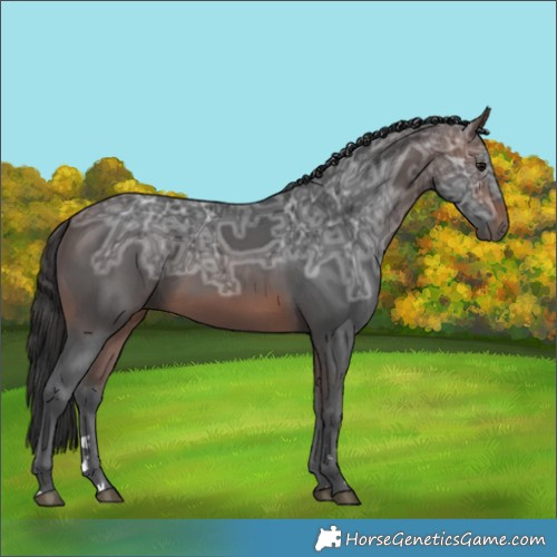 Horse Color:Brown Ice 
