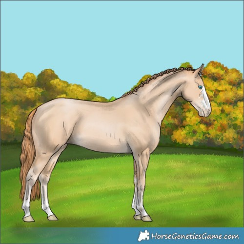 Horse Color:Buckskin Pearl