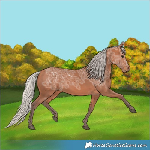 Horse Color:Silver Bay Ice