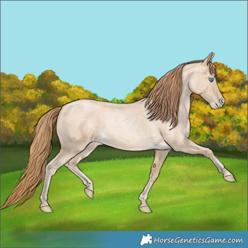Horse Color:Buckskin Roan Pearl 