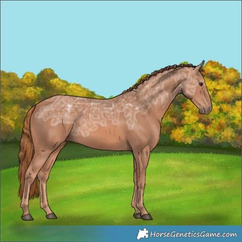 Horse Color:Chestnut Ice 