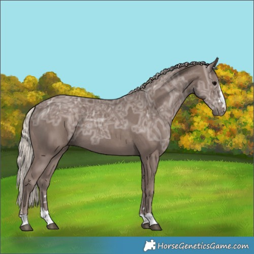 Horse Color:Silver Black Ice 