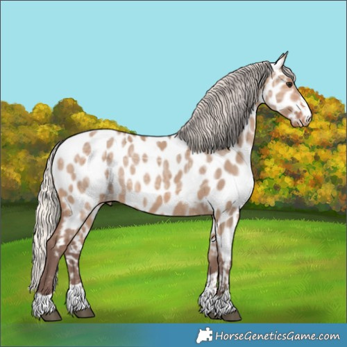 Horse Color:Silver Brown Ice Dun Near Leopard 