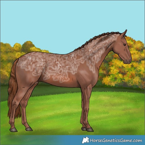 Horse Color:Chestnut Ice 