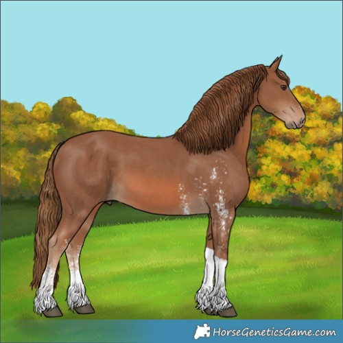 Horse Color:Chestnut Sabino Tobiano 