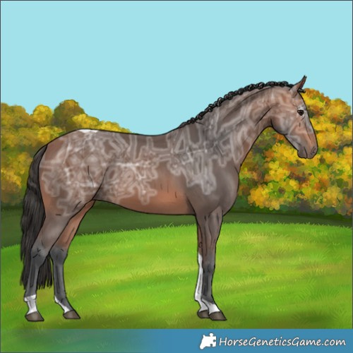 Horse Color:Bay Ice Tobiano 