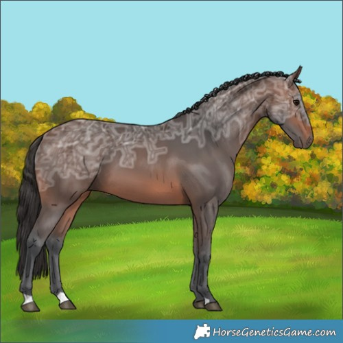 Horse Color:Brown Ice 