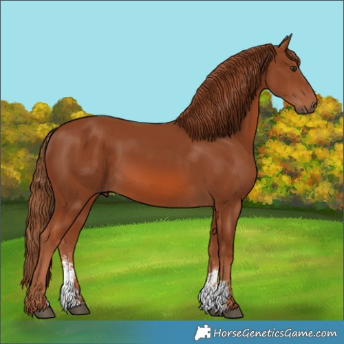 Horse Color:Chestnut Sabino 