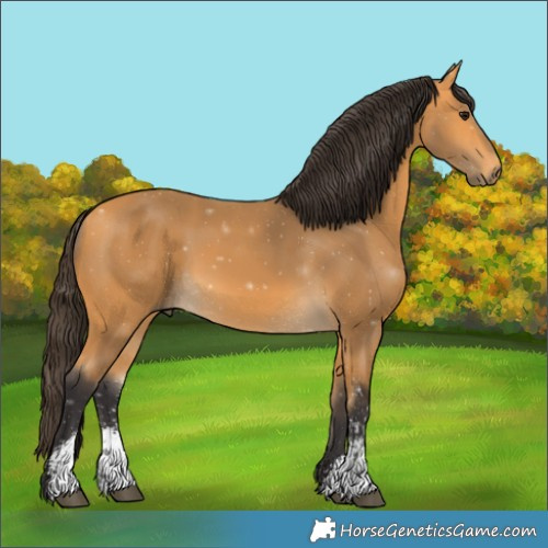Horse Color:Buckskin Sabino 