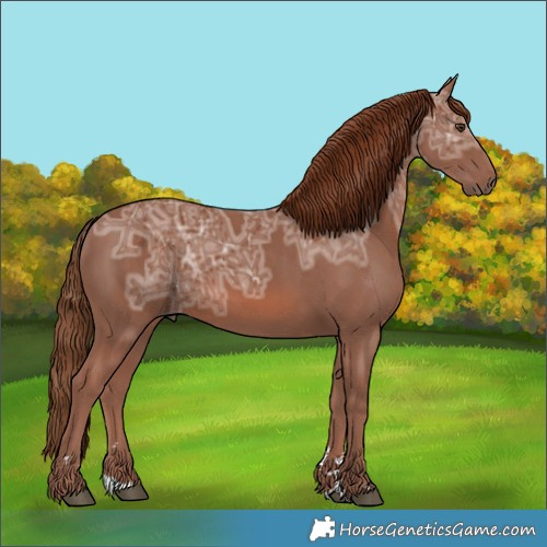 Horse Color:Chestnut Ice 