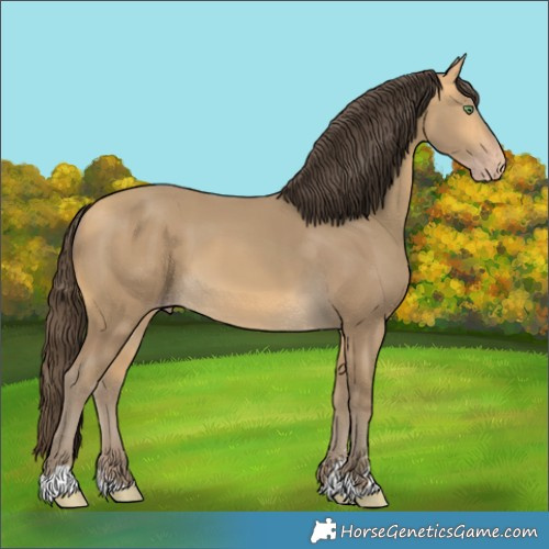 Horse Color:Sable Cream Champagne