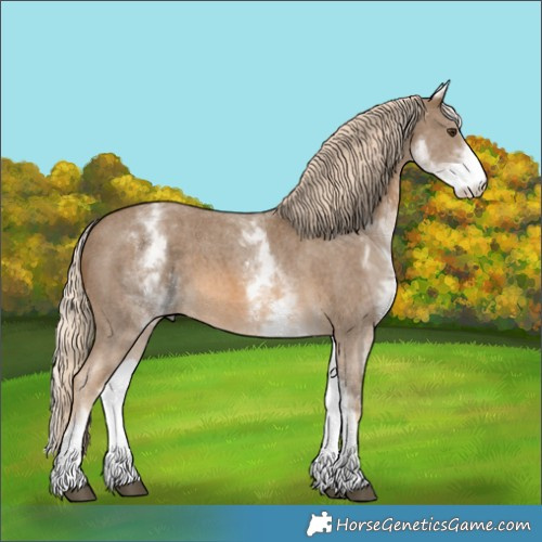 Horse Color:White Spotted Chocolate Palomino Sabino 