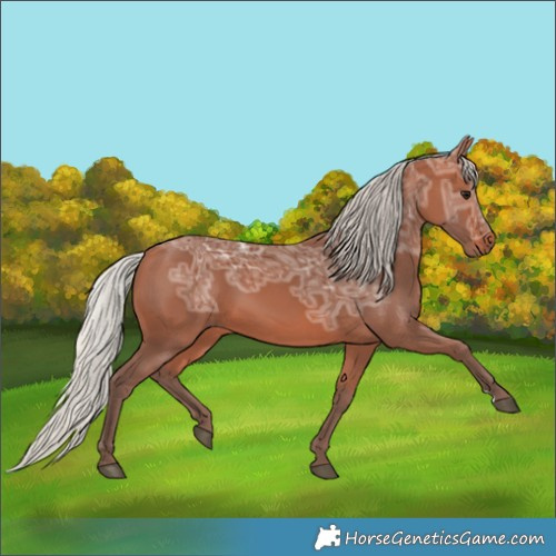 Horse Color:Silver Bay Ice
