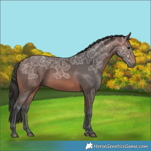 Horse Color:Brown Ice