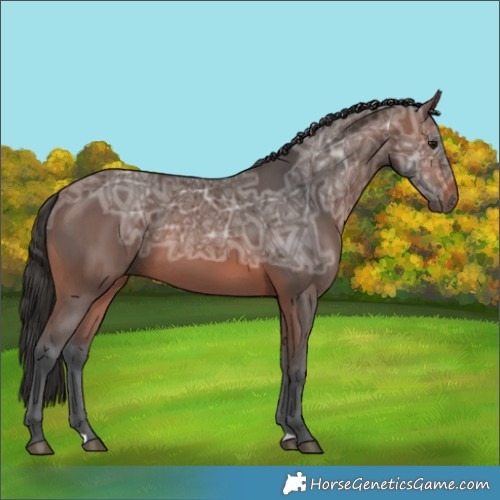 Horse Color:Brown Ice